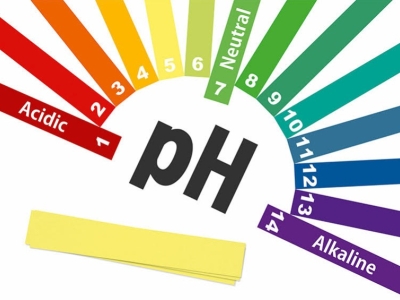 L’alcalinité : un paramètre essentiel à ne pas oublier